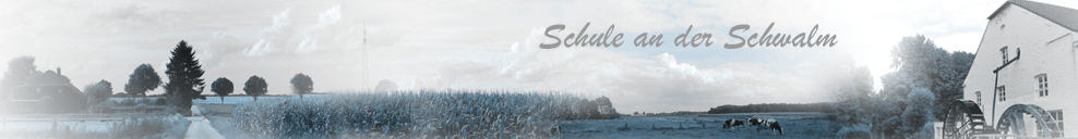 Bild _head